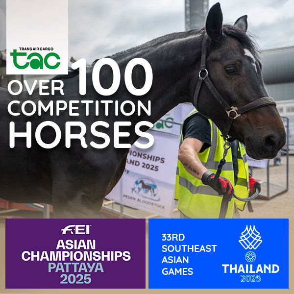 A 100-Horse Airlift: Conqueror Bangkok